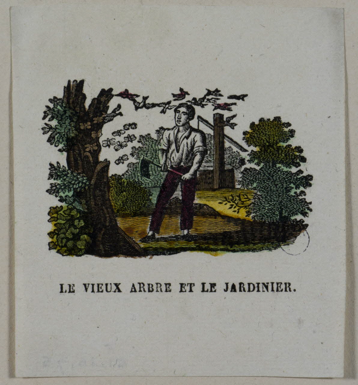 estampe LE VIEUX ARBRE ET LE JARDINIER. 1951.16.75 Photo