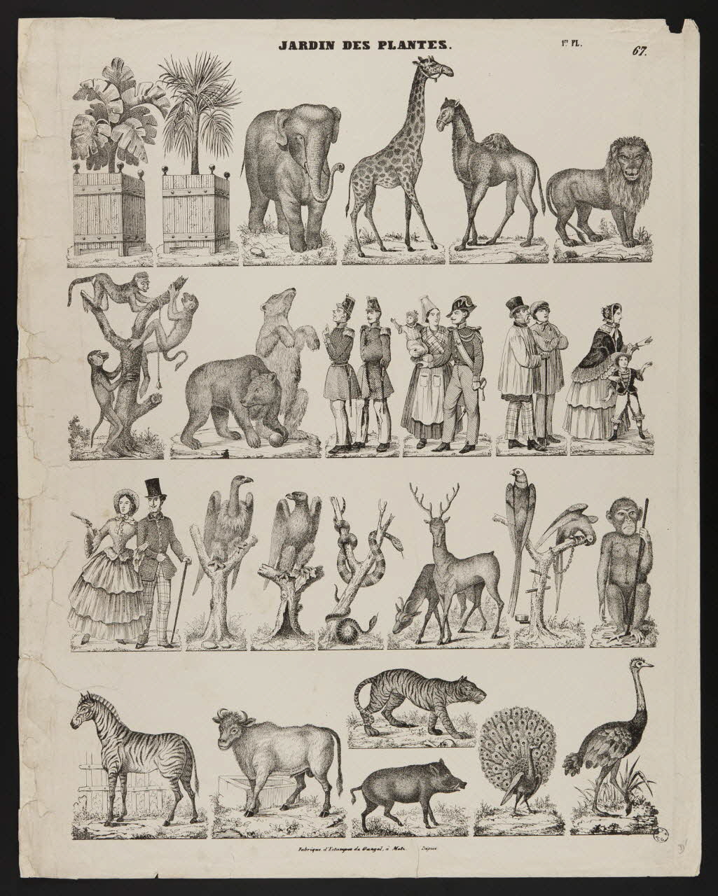 Charles Nicolas Gangel estampe JARDIN DES PLANTES. Metz 1852-1858 1952.39.281 Photo