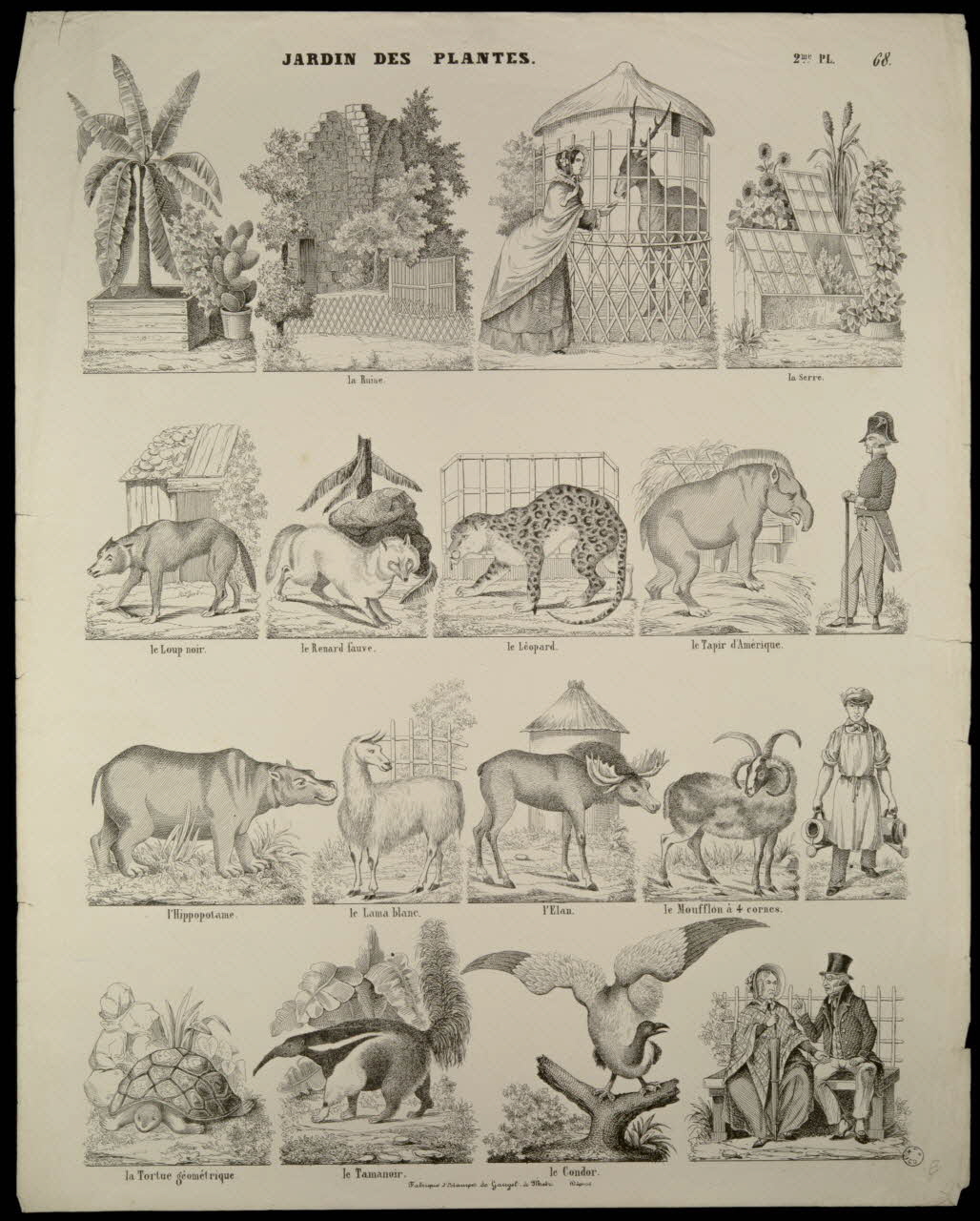 Charles Nicolas Gangel estampe JARDIN DES PLANTES. Metz 1852-1858 1952.39.283 Photo