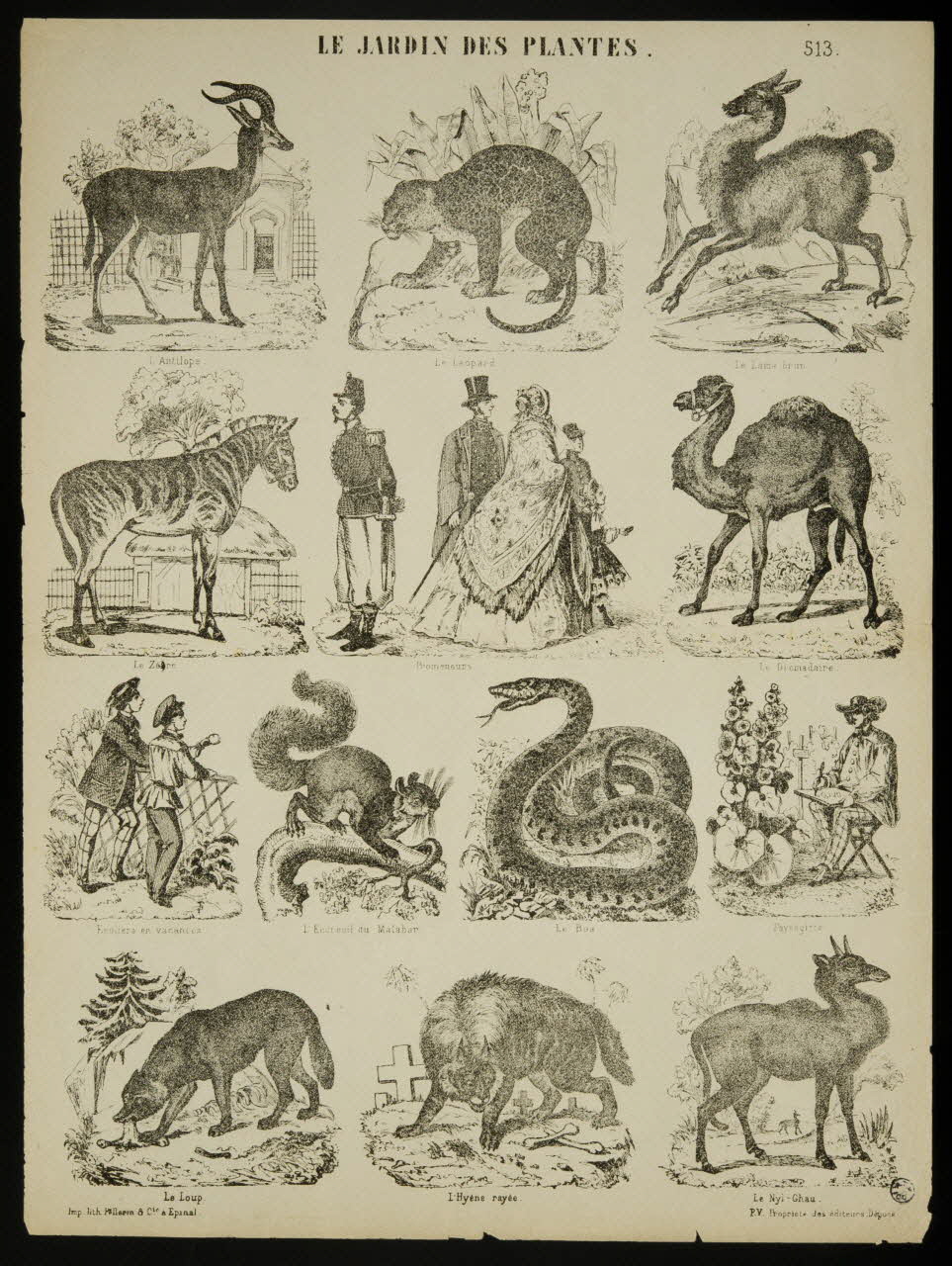 estampe LE JARDIN DES PLANTES. 1952.39.284 Photo