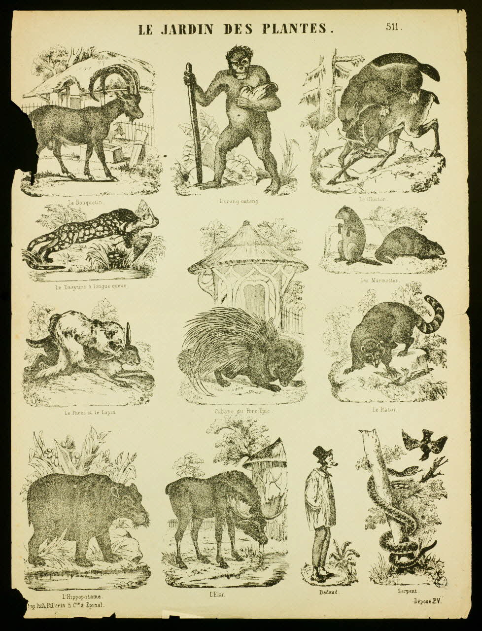 estampe LE JARDIN DES PLANTES. 1952.39.287 Photo