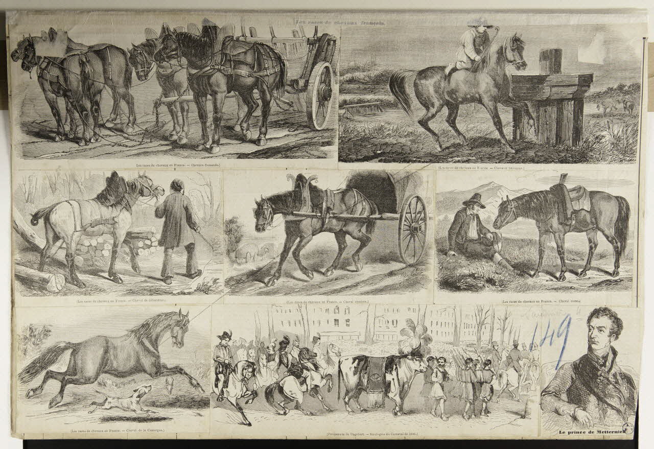 estampe Les races de chevaux français. 1952.39.365 Photo