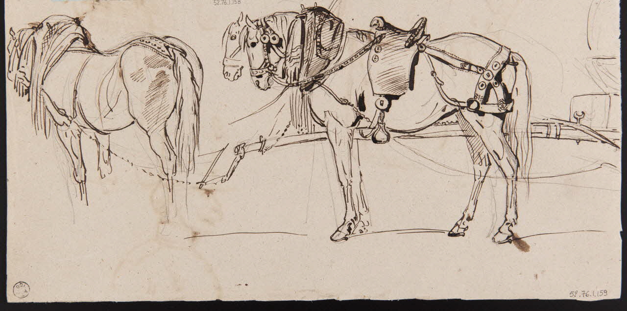 Lalaisse François Hippolyte carnet de dessins Cheval du postillon pour les voitures de poste Allemagne 1851-1860 1952.76.1.158 Photo
