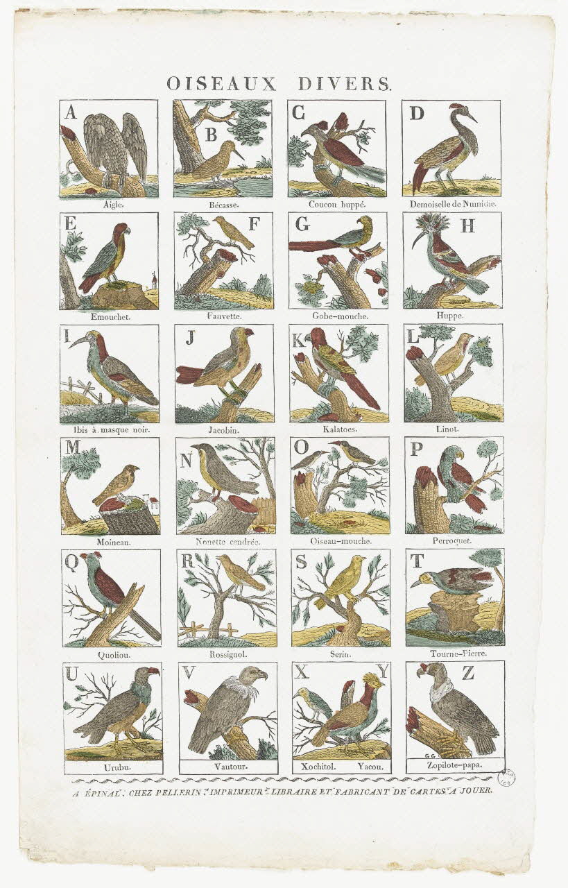 Pellerin imagerie ancienne OISEAUX DIVERS. Lorraine, France 1837 1979.82.5 Photo RMN-Grand Palais (Mucem)