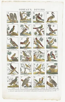 Pellerin imagerie ancienne OISEAUX DIVERS. Lorraine, France 1837 1979.82.5 Photo RMN-Grand Palais (Mucem)