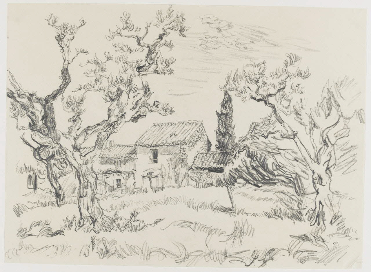 André Jordan dessin Oliviers à Eygalières (Bouches-du-Rhône) 1943 1943.19.8 Photo RMN-Grand Palais (Mucem)