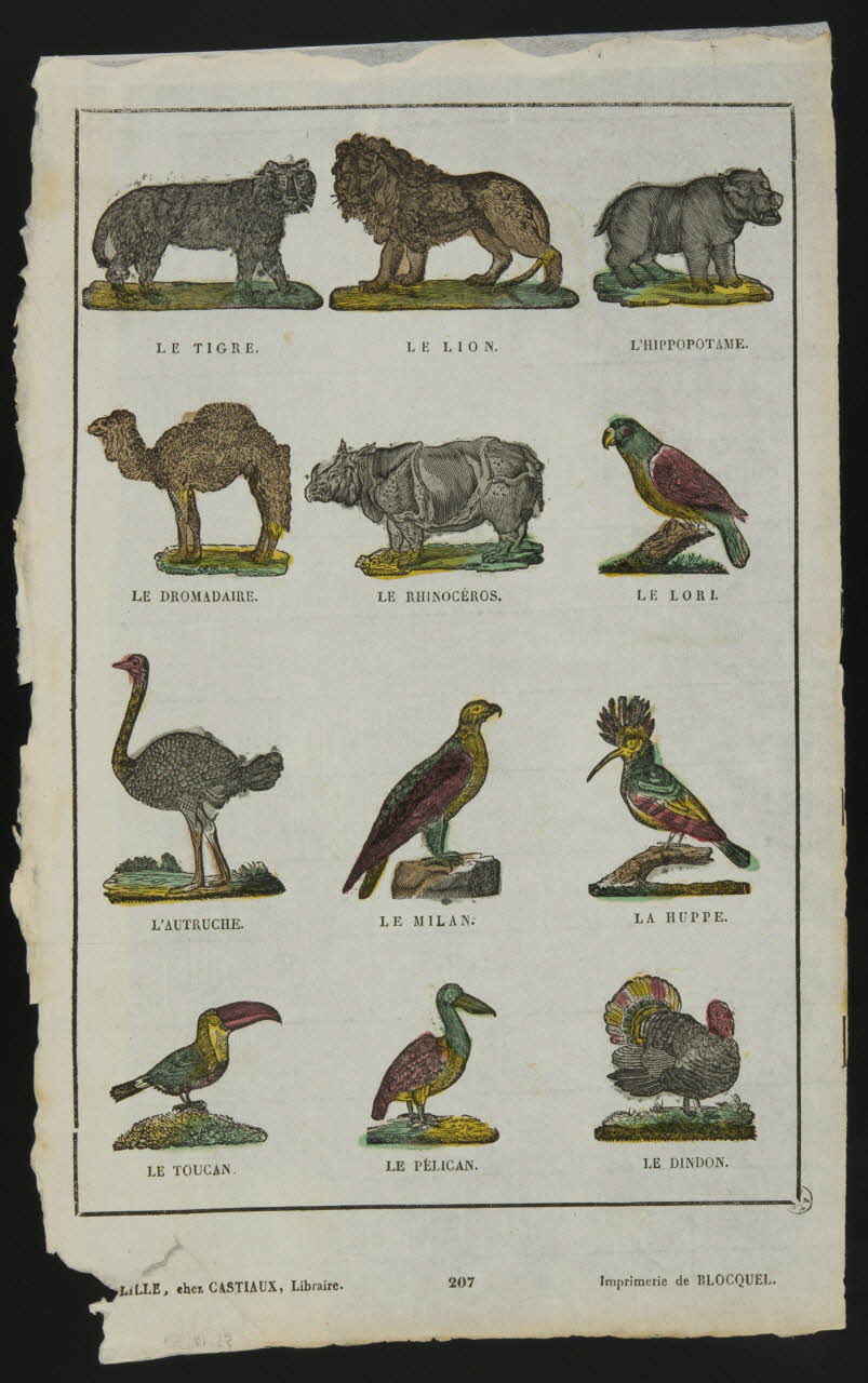 Jean-Baptiste Castiaux ; Simon-François Blocquel imagerie ancienne Planche d'animaux Lille 1809-1837 1953.12.59 Photo