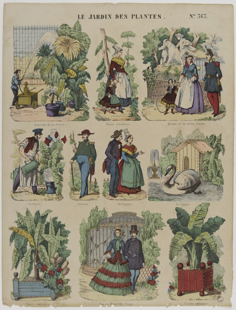 estampe LE JARDIN DES PLANTES. 1953.86.4181 Photo RMN-Grand Palais (Mucem)