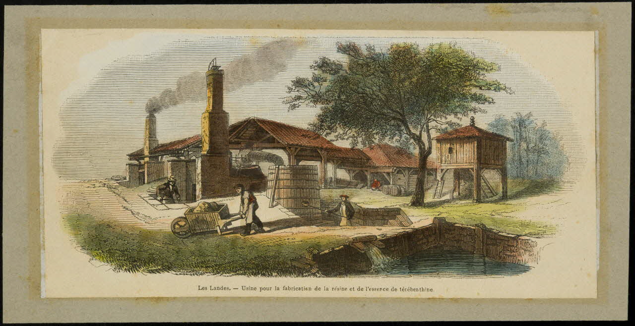 estampe Les Landes. - Usine pour la fabrication de la résine et de l'essence de térébenthine D1953.15.124 Photo