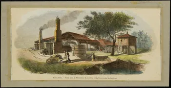 estampe Les Landes. - Usine pour la fabrication de la résine et de l'essence de térébenthine D1953.15.124  Photo