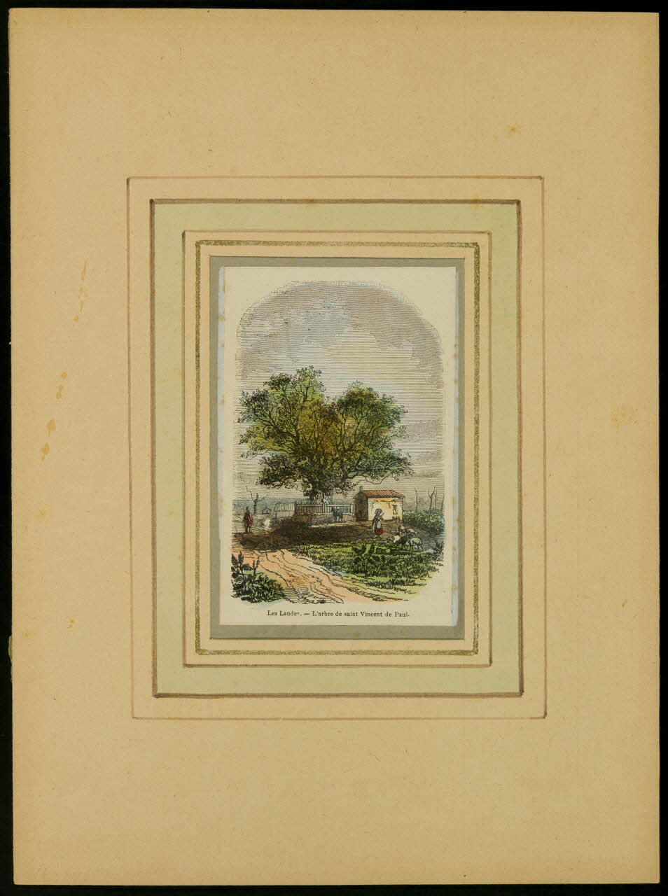 estampe Les Landes. - L'arbre de saint Vincent de Paul. D1953.15.128 Photo