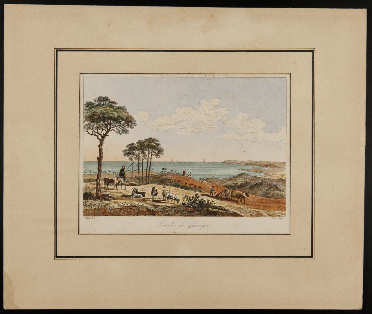 estampe Landes de Gascogne. D1953.15.130 Photo