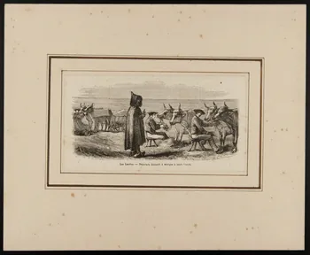 estampe Les Landes. - Bouviers donnant à manger à leurs boeufs. D1953.15.137  Photo