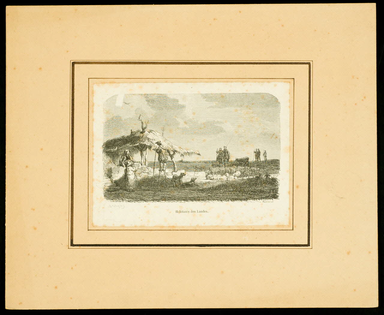estampe Habitants des Landes. D1953.15.139 Photo