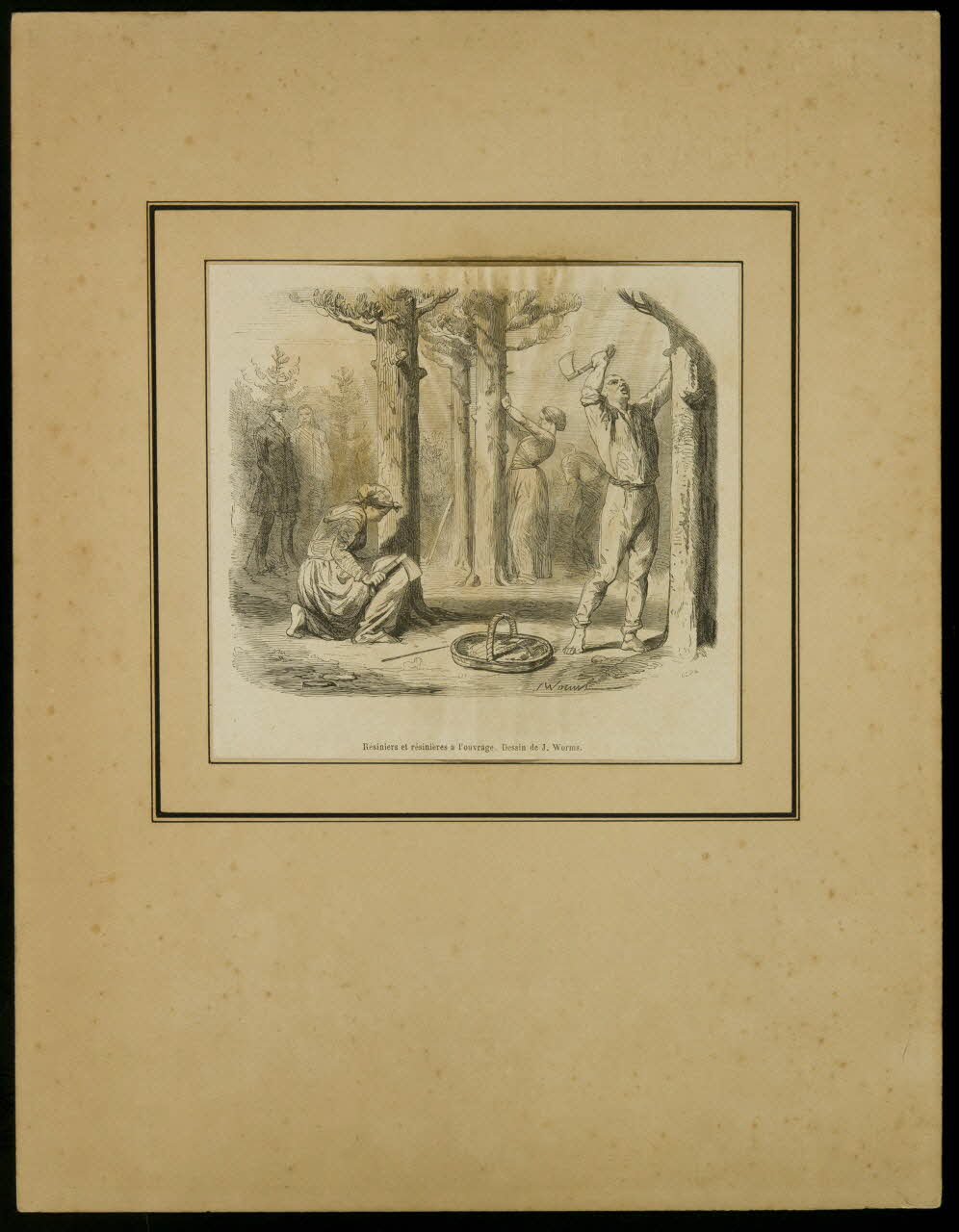 estampe Résiniers et résinières à l'ouvrage. Dessin de J. Worms. D1953.15.148 Photo