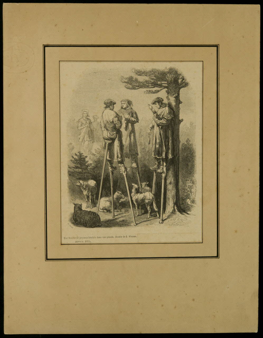 estampe Une famille de paysans landais dans une pinada. Dessin de J. Worms. D1953.15.149 Photo