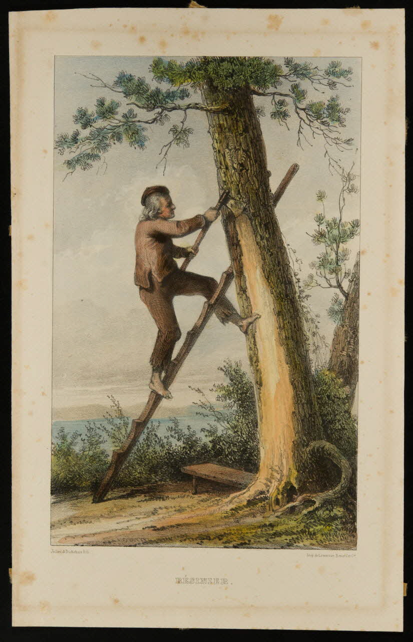 estampe RESINIER D1953.15.160 Photo