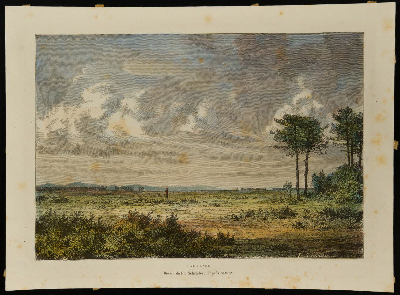 estampe UNE LANDE D1953.15.161 Photo