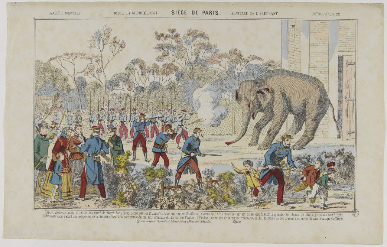 estampe 1870 - LA GUERRE - 1871 SIÈGE DE PARIS. ABATTAGE DE L'ÉLÉPHANT. 1953.86.1162 Photo RMN-Grand Palais (Mucem)