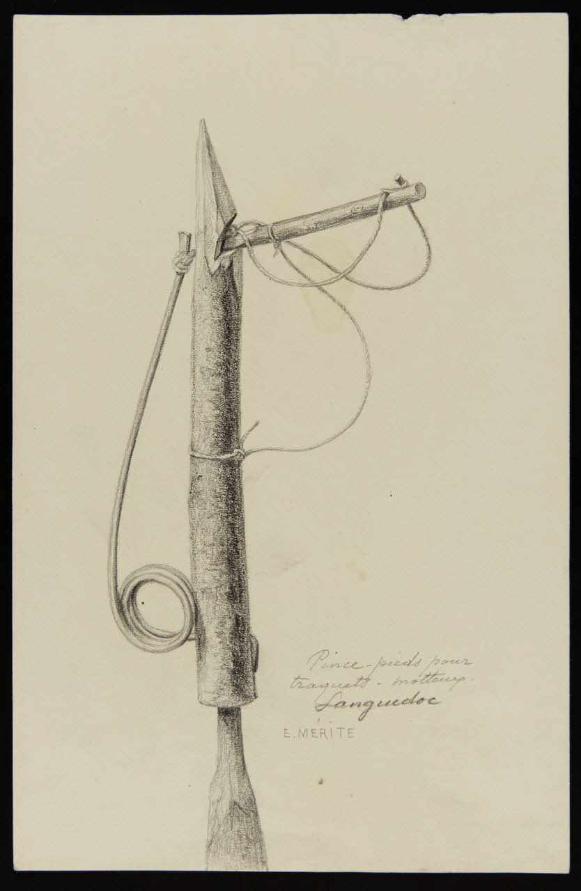 dessin Pince-pieds pour  traquets-motteux.  Languedoc 1953.85.402 Photo