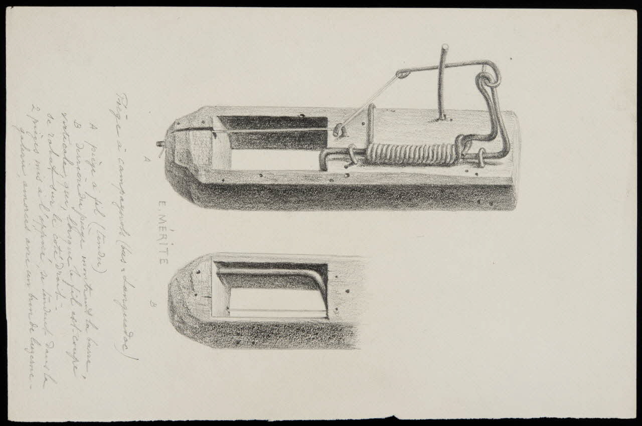 dessin Piège à campagnols (Bas-Languedoc) 1953.85.410 Photo