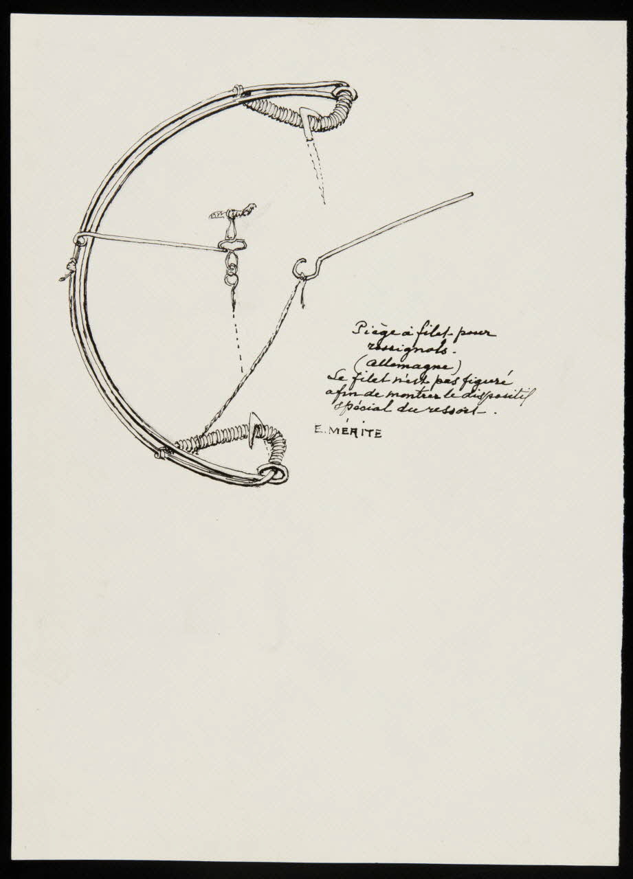 dessin Piège à filet pour rossignols 1953.85.417 Photo
