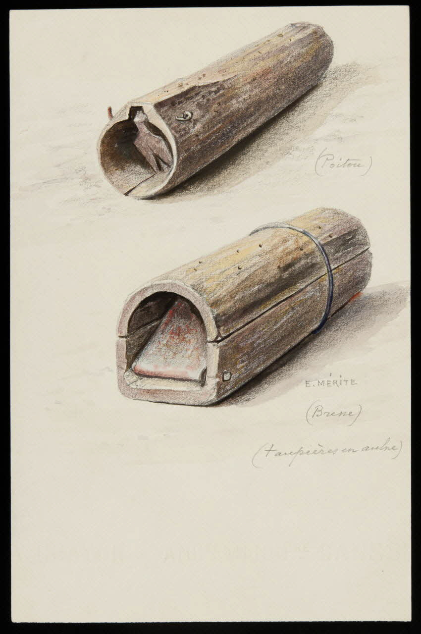 dessin Pièges à taupe de Poitou et Bresse 1953.85.429 Photo