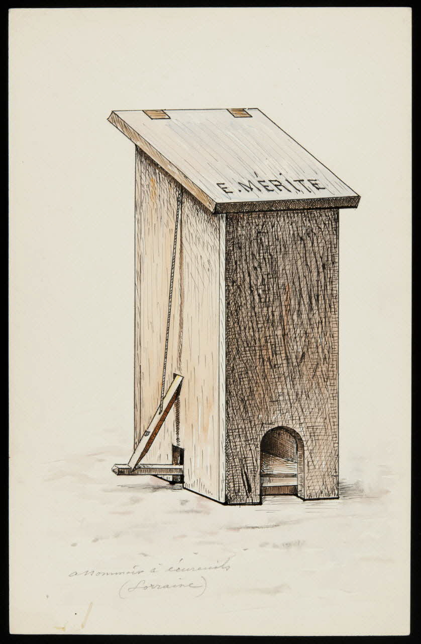 dessin Assommoir à écureuils  (Lorraine) 1953.85.430 Photo