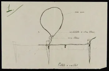 dessin Collets à cailles 1953.85.439 Photo