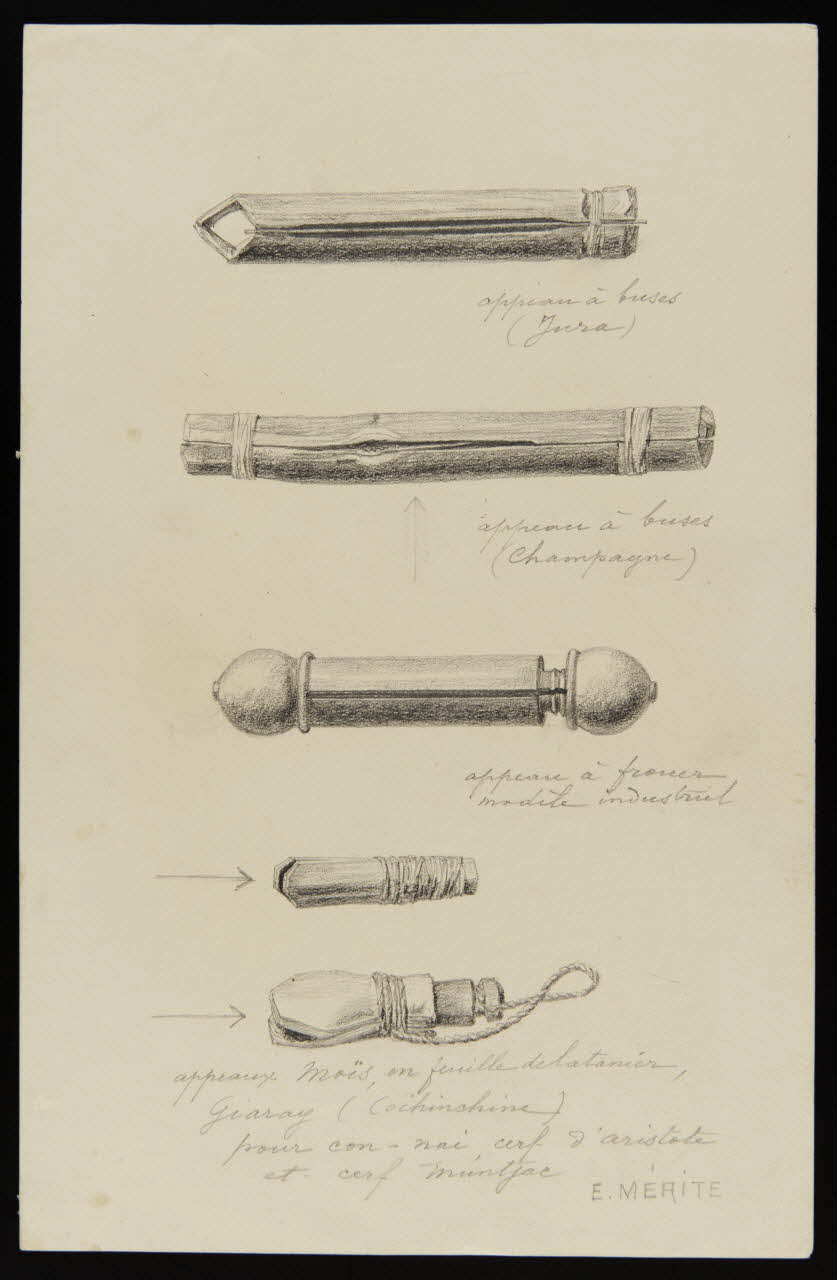 dessin Appeaux 1953.85.440 Photo