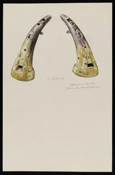 dessin appeau double  pour la sauvagine 1953.85.442 Photo