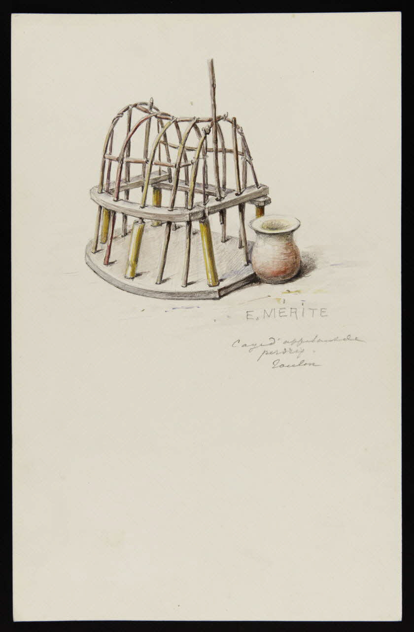 dessin Cage d'appelant de  perdrix.  Toulon 1953.85.458 Photo