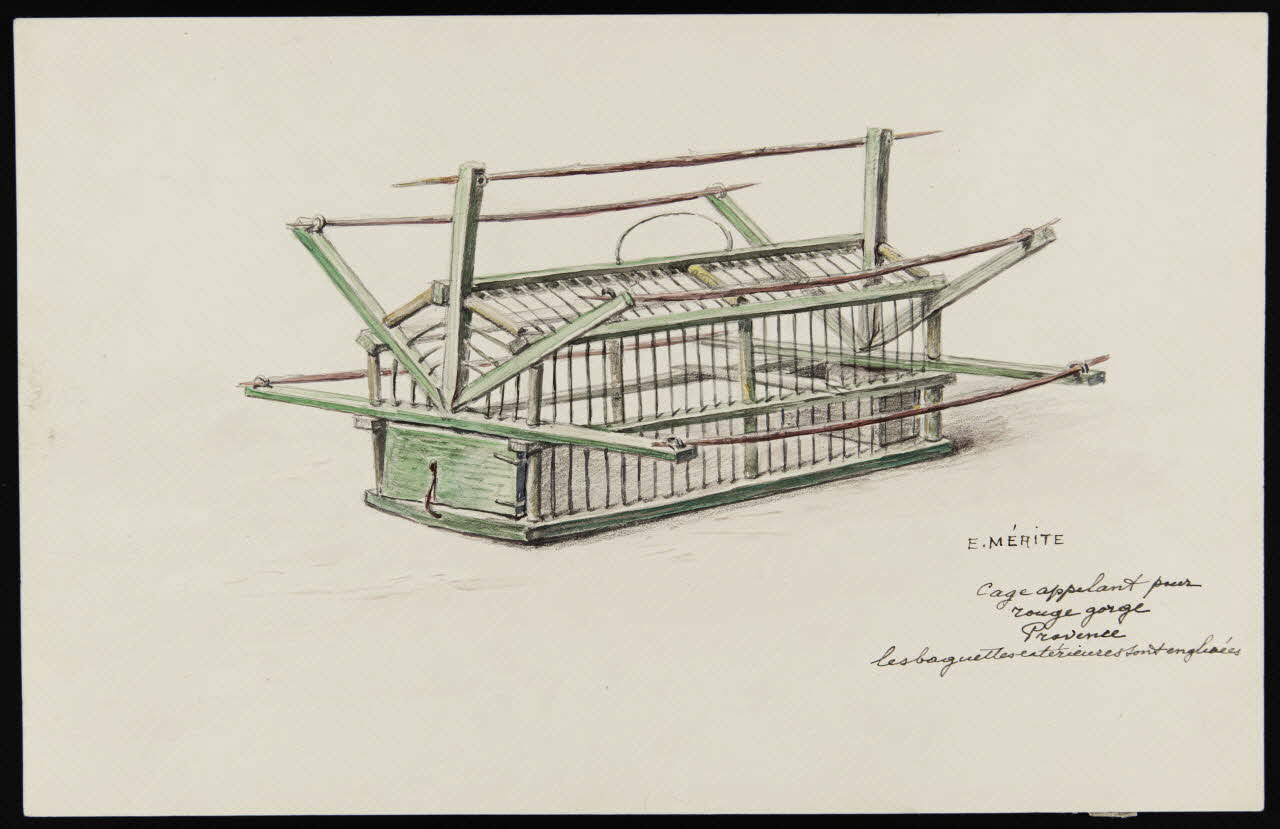 dessin Cage appelant pour rouge gorge. Provence 1953.85.460 Photo