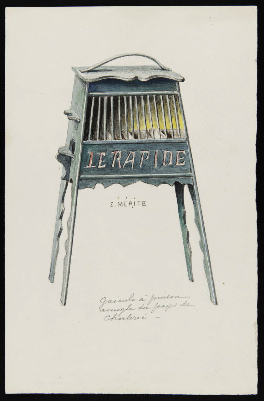 dessin Gaioule à pinson 1953.85.463 Photo