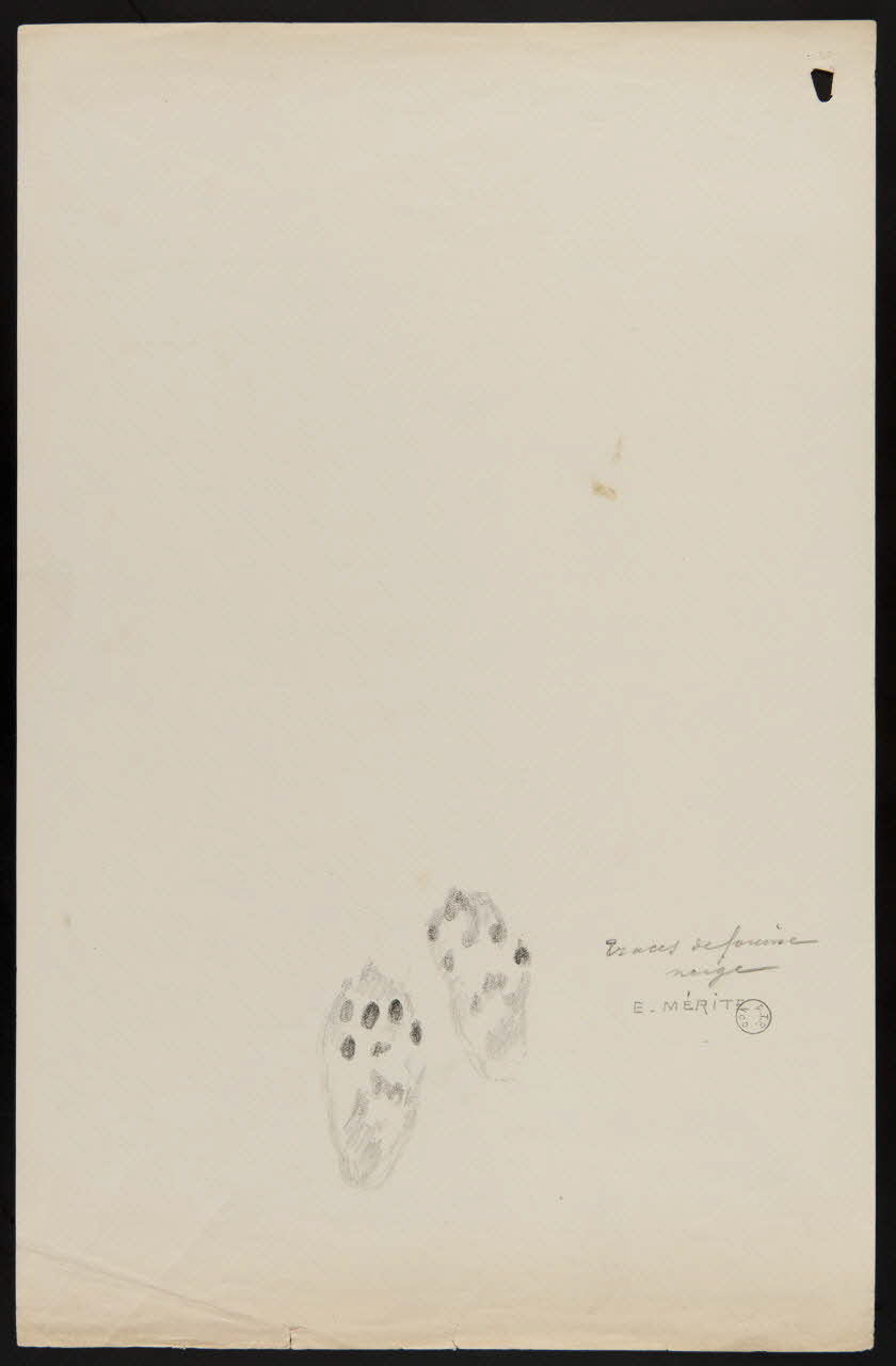 Edouard P. Mérite dessin Traces de fouine  neige 1919 1953.85.468 Photo