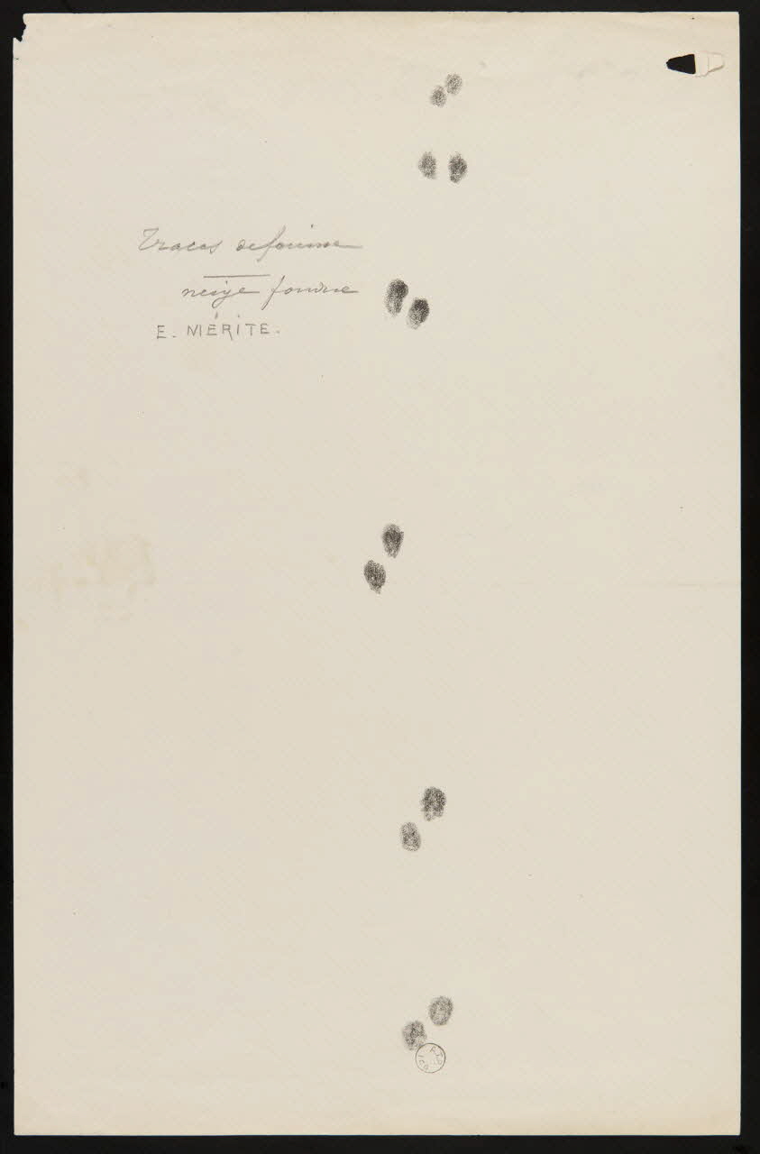 Edouard P. Mérite dessin Traces de fouine  neige fondue 1919 1953.85.470 Photo