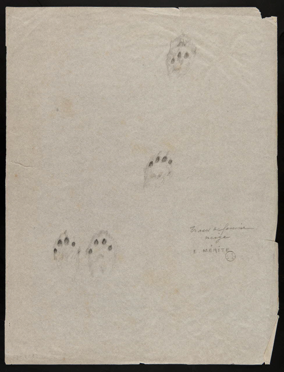 Edouard P. Mérite dessin Traces de fouine  neige 1919 1953.85.472 Photo