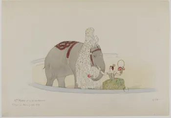 Marthe Vesque ; Juliette Vesque partie d'un ensemble de dessins Numéro de cirque : Mme Rossi 1929 1968.102.116 Photo RMN-Grand Palais (Mucem)