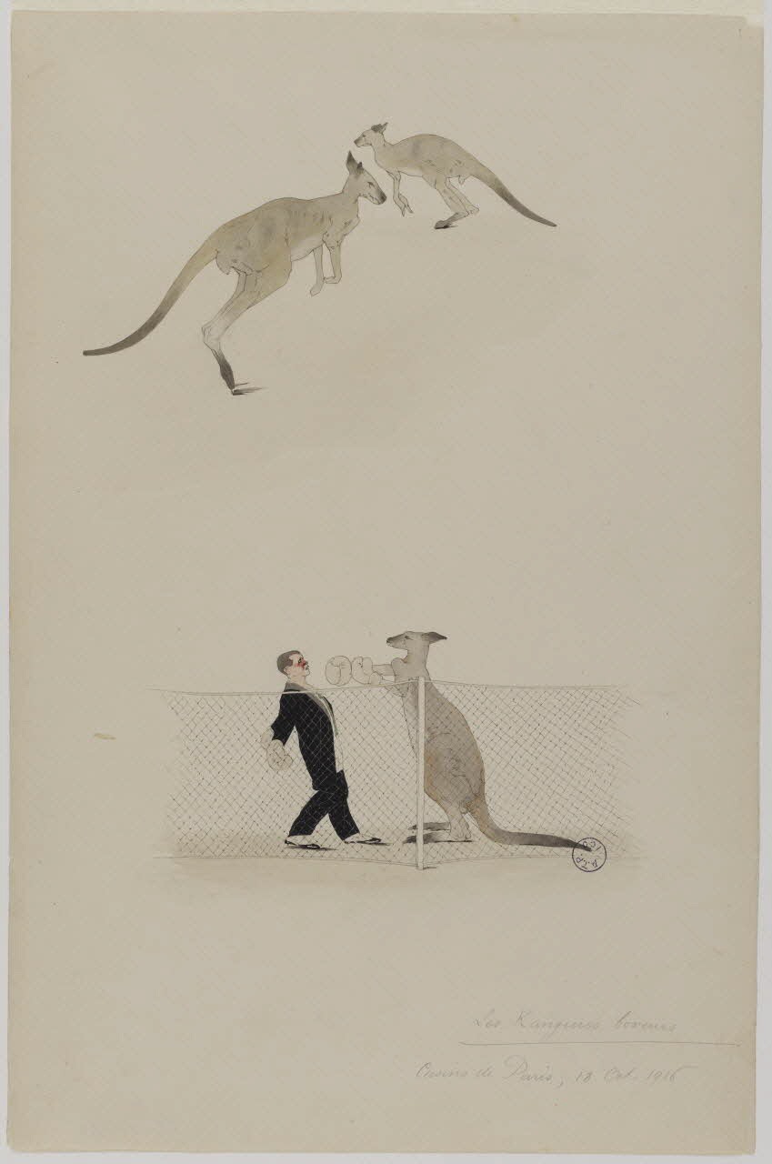 Marthe Vesque ; Juliette Vesque partie d'un ensemble de dessins Numéro de cirque : kangourou boxeur 1916 1968.102.120 Photo RMN-Grand Palais (Mucem)