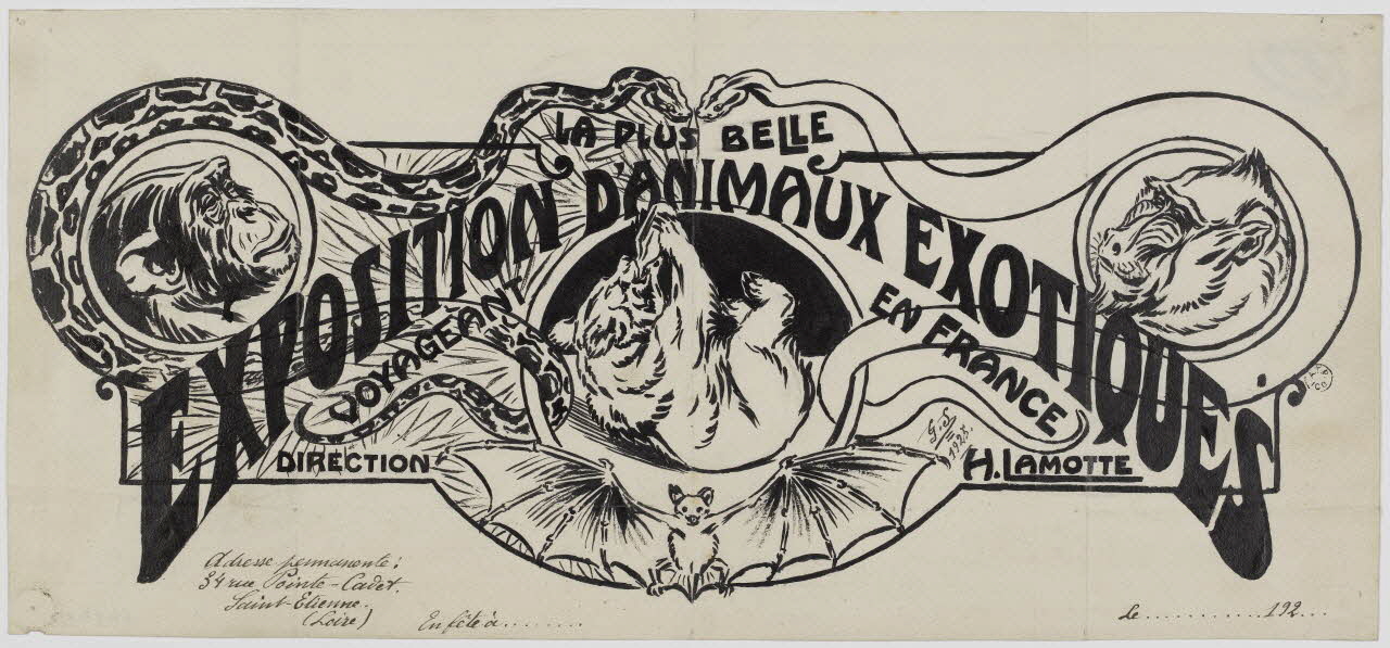Gustave Soury dessin Projet d'affiche pour la ménagerie Lamotte 1925 1964.23.95 Photo RMN-Grand Palais (Mucem)
