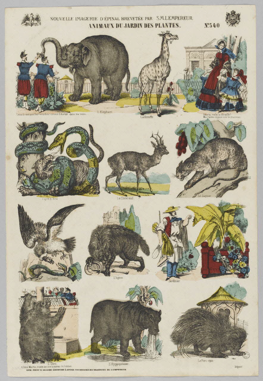 à registres (4) ANIMAUX DU JARDIN DES PLANTES. 1953.86.4160 Photo RMN-Grand Palais (Mucem)