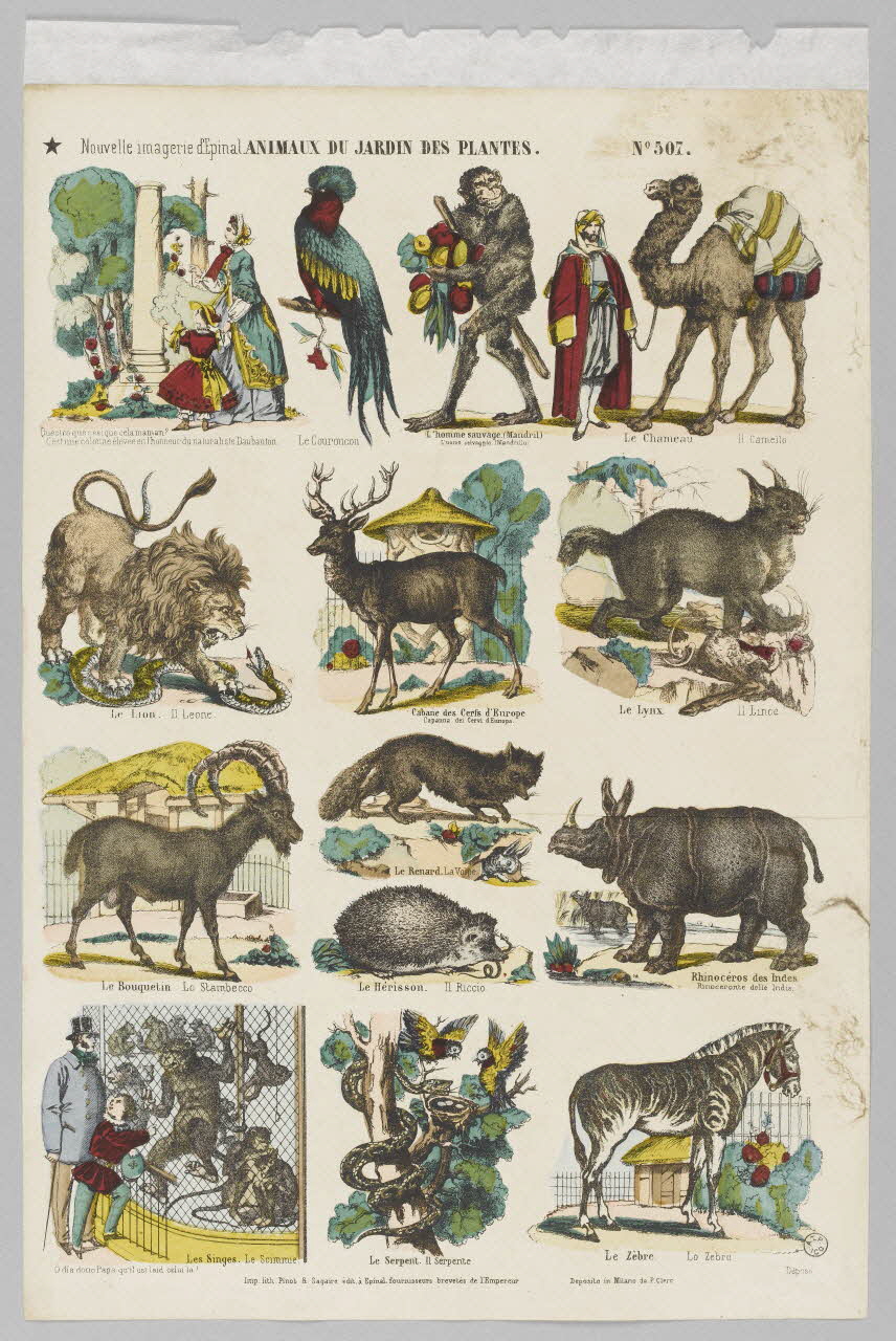 à registres (4) ANIMAUX DU JARDIN DES PLANTES. 1953.86.4161 Photo RMN-Grand Palais (Mucem)