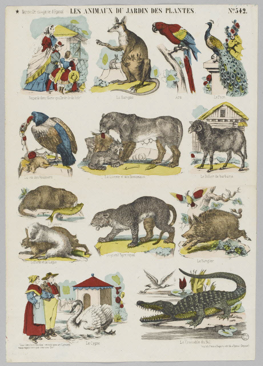 à registres (4) LES ANIMAUX DU JARDIN DES PLANTES. 1953.86.4163 Photo RMN-Grand Palais (Mucem)