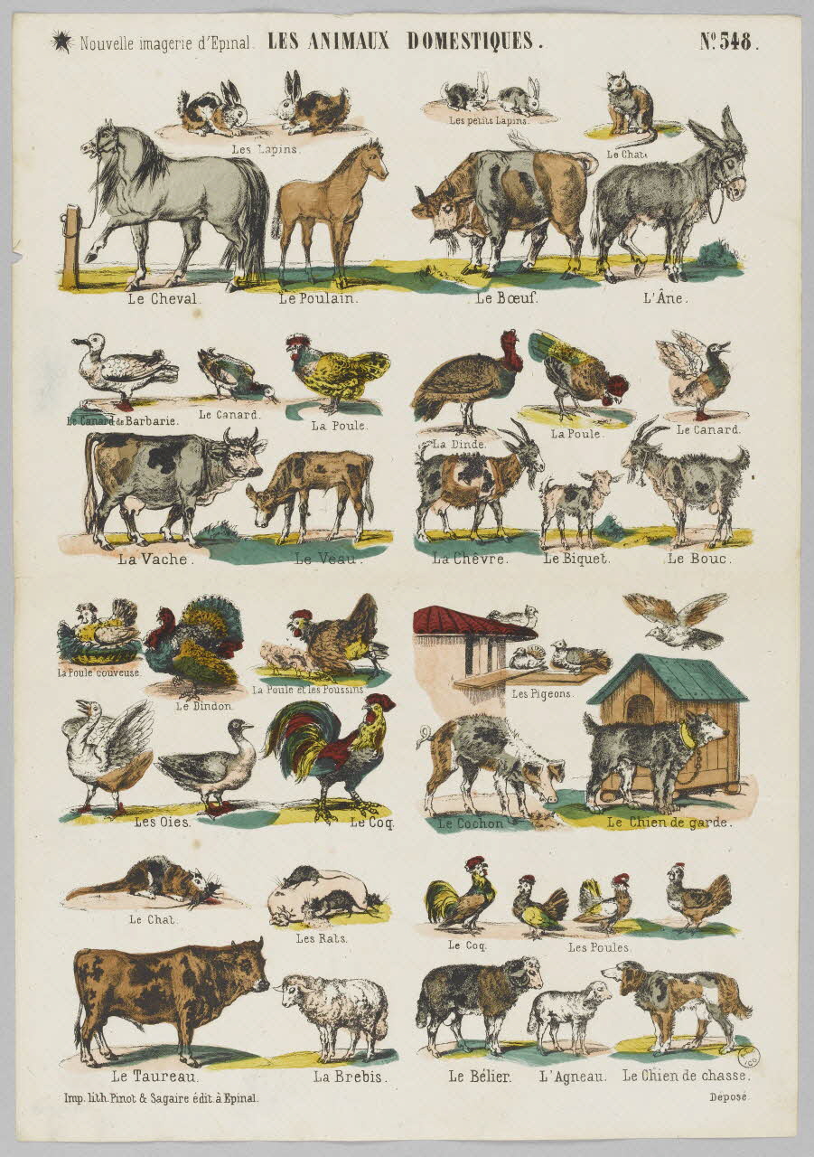estampe LES ANIMAUX DOMESTIQUES. 1953.86.4168 Photo RMN-Grand Palais (Mucem)