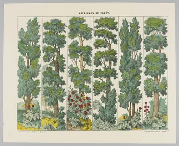 estampe COULISSES DE FORET. 1953.86.4528 Photo RMN-Grand Palais (Mucem)