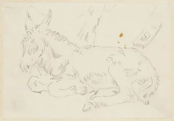 André Jordan dessin Etude d'âne 1943 1943.19.1 Photo RMN-Grand Palais (Mucem)