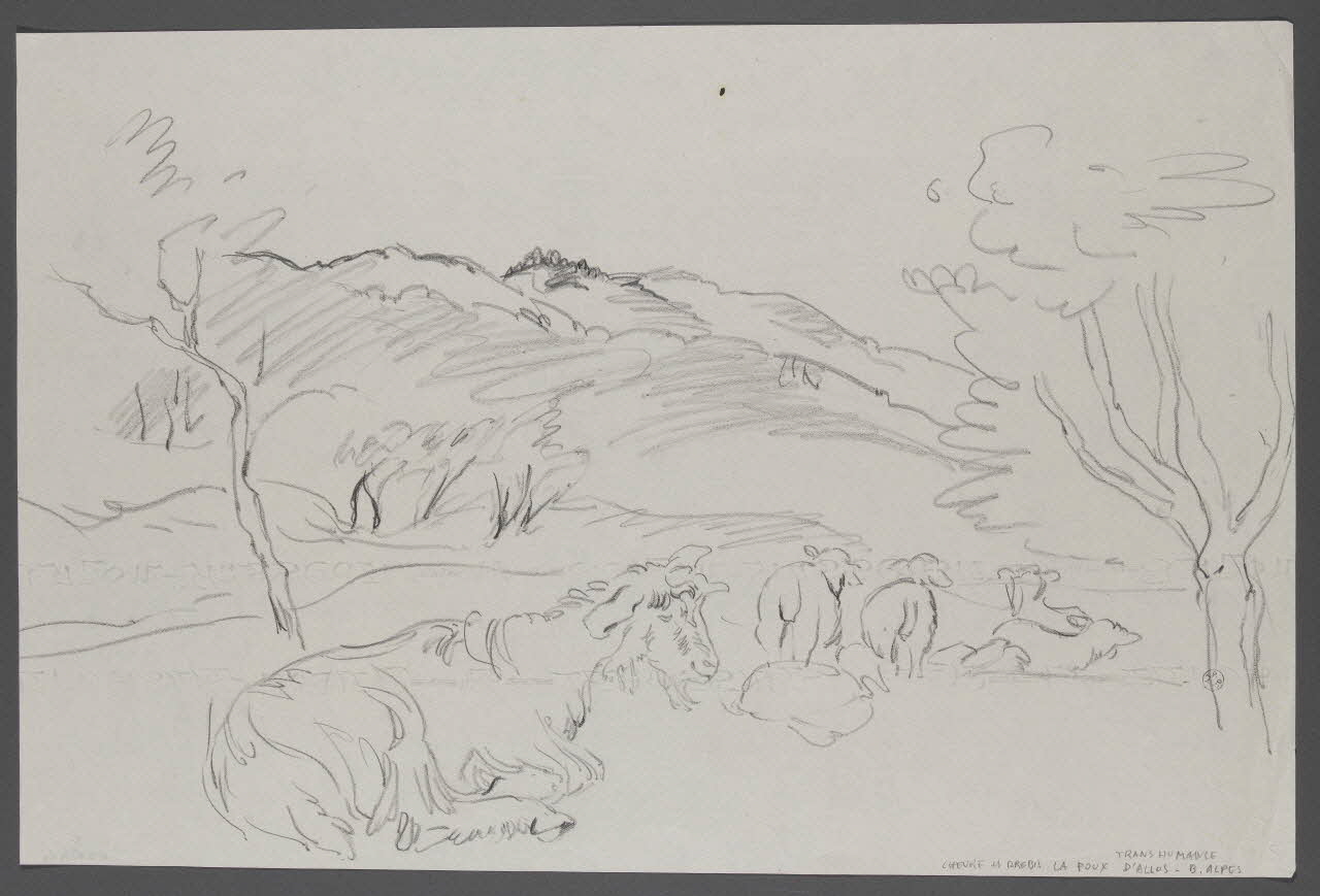 André Jordan dessin Scène de transhumance 1943 1943.19.29 Photo RMN-Grand Palais (Mucem)
