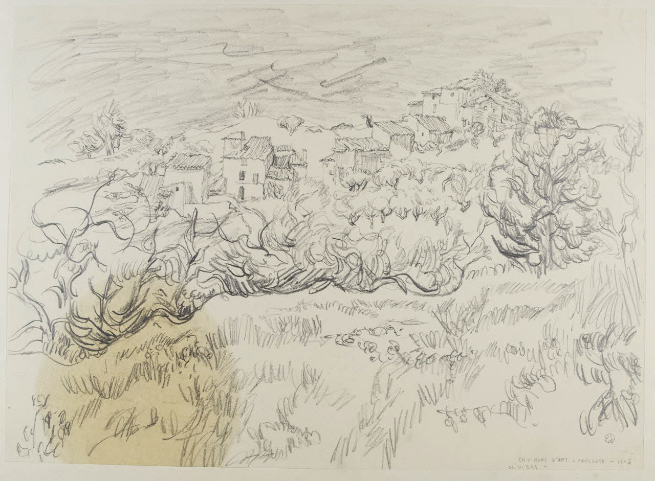 André Jordan dessin Oliviers aux environs d'Apt (Vaucluse) 1943 1943.19.28 Photo RMN-Grand Palais (Mucem)