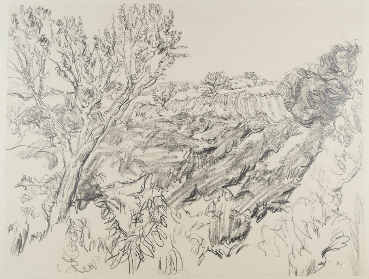 André Jordan dessin Vignes et amandier (Gordes, Vaucluse) 1943 1943.19.30 Photo RMN-Grand Palais (Mucem)