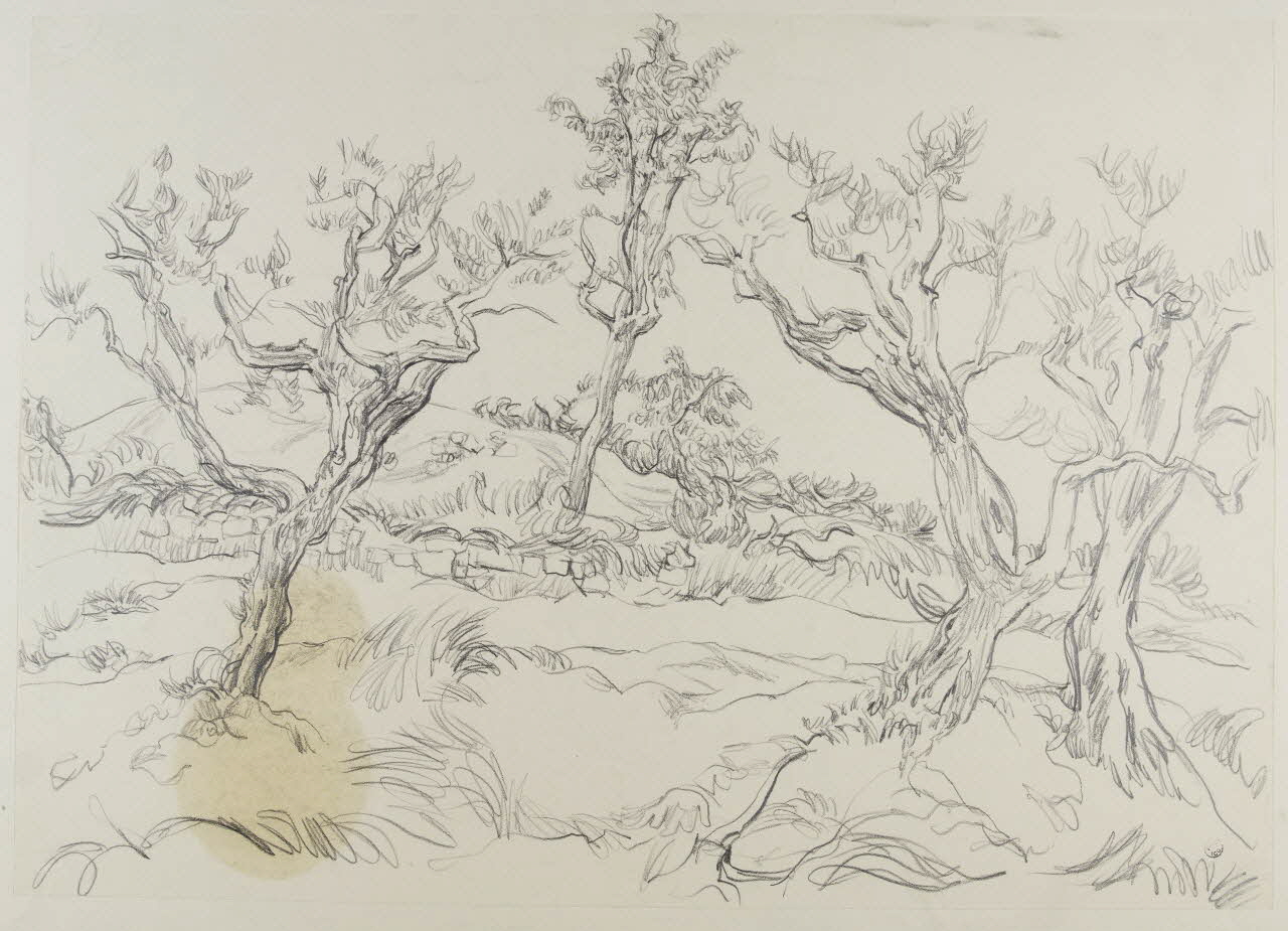 André Jordan dessin Oliviers à Cazeneuve (Vaucluse) 1943 1943.19.32 Photo RMN-Grand Palais (Mucem)